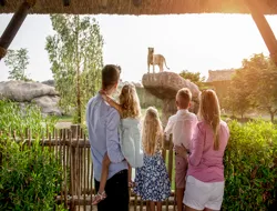 Dubai Safari Park Tickets